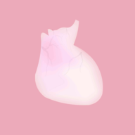 银河999网站生命汉化版下载安装-银河999网站生命汉化版游戏下载v1.0