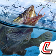 威尼斯人app官方下载手机版下载-威尼斯人app官方下载最新版下载v1.9